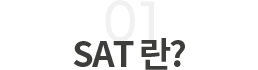 SAT ¼Ò°³